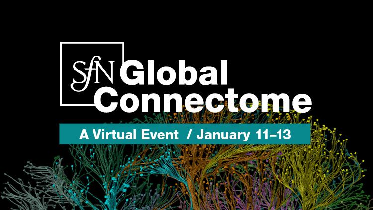 Society for Neuroscience (SfN) digital event 11-13th January 2021